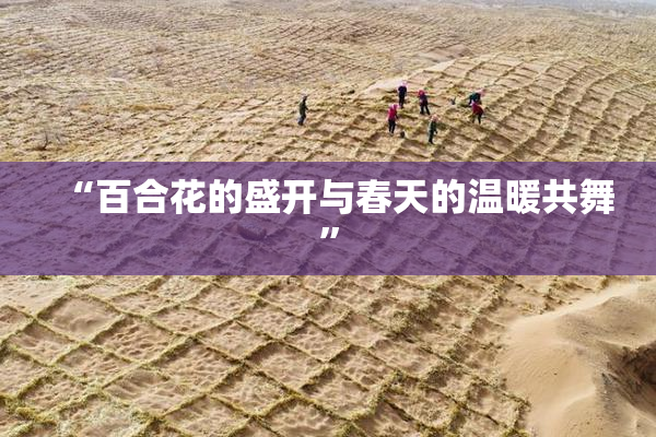 “百合花的盛开与春天的温暖共舞”