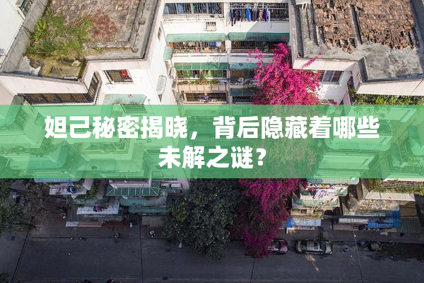 妲己秘密揭晓，背后隐藏着哪些未解之谜？