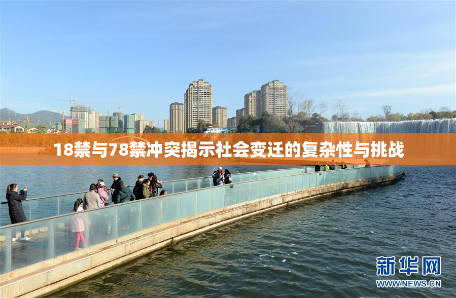 18禁与78禁冲突揭示社会变迁的复杂性与挑战