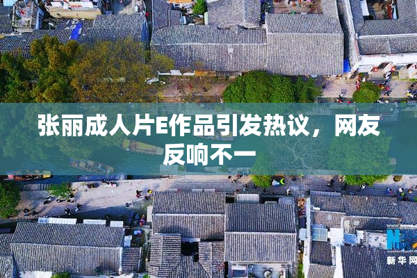 张丽成人片E作品引发热议，网友反响不一