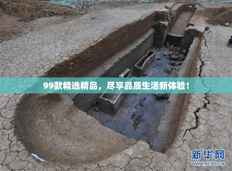 99款精选精品，尽享品质生活新体验！