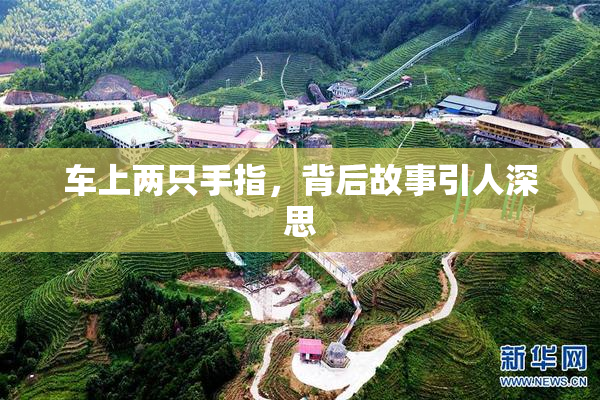 车上两只手指，背后故事引人深思