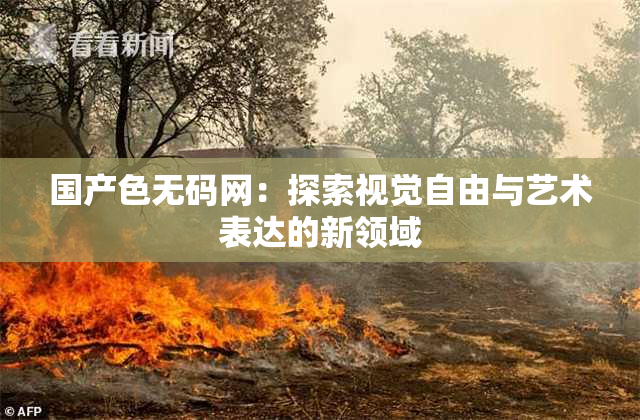 国产色无码网：探索视觉自由与艺术表达的新领域