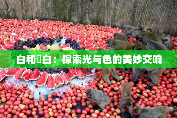 白和晄白：探索光与色的美妙交响