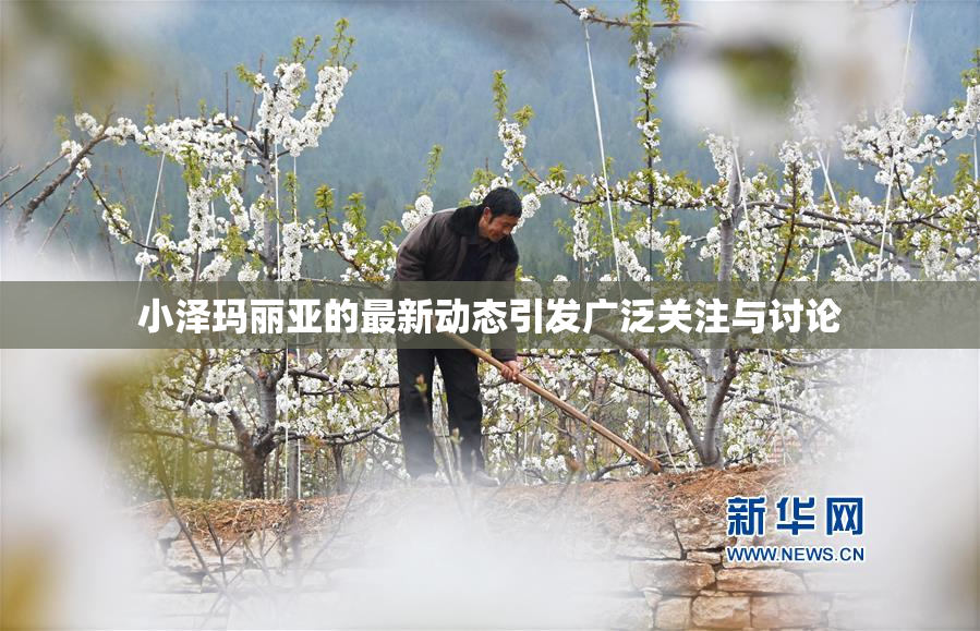 小泽玛丽亚的最新动态引发广泛关注与讨论