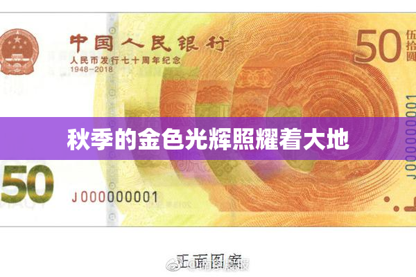 秋季的金色光辉照耀着大地