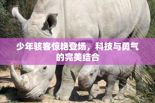 少年骇客惊艳登场，科技与勇气的完美结合