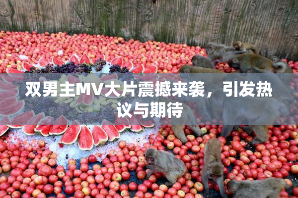 双男主MV大片震撼来袭，引发热议与期待