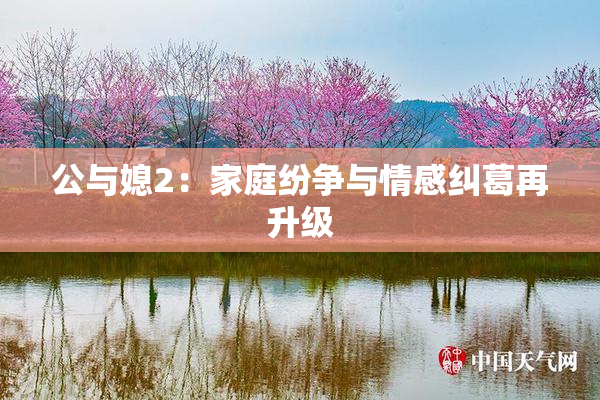 公与媳2：家庭纷争与情感纠葛再升级