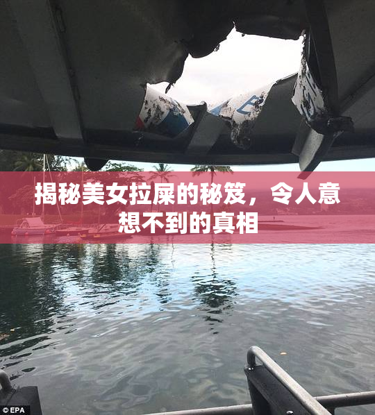 揭秘美女拉屎的秘笈，令人意想不到的真相