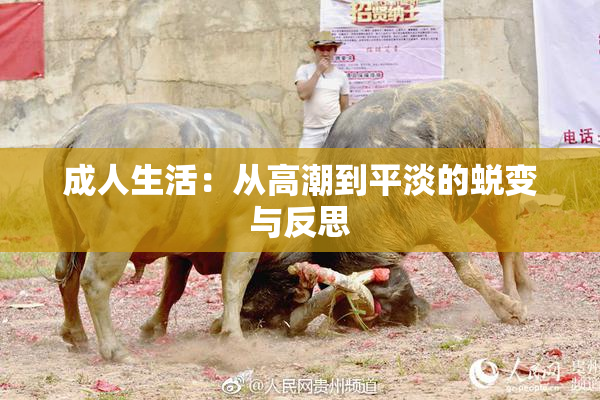 成人生活：从高潮到平淡的蜕变与反思