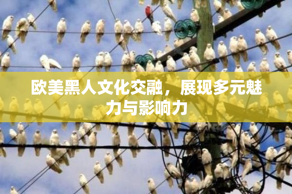 欧美黑人文化交融，展现多元魅力与影响力