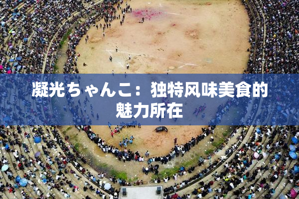 凝光ちゃんこ：独特风味美食的魅力所在