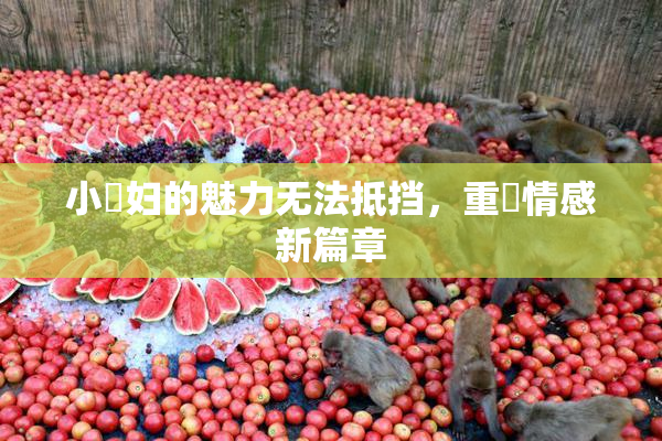 小婬妇的魅力无法抵挡，重啟情感新篇章