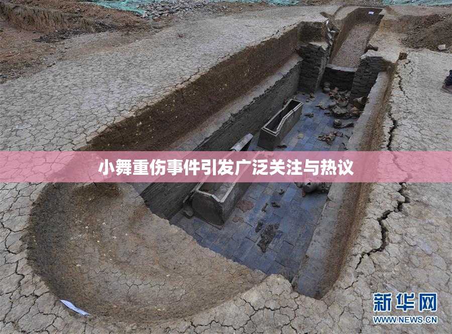 小舞重伤事件引发广泛关注与热议