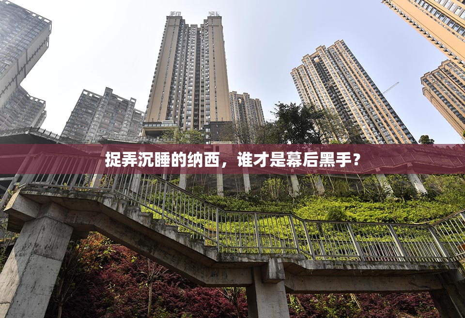 捉弄沉睡的纳西，谁才是幕后黑手？