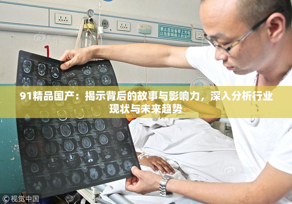 91精品国产：揭示背后的故事与影响力，深入分析行业现状与未来趋势