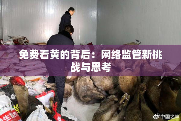 免费看黄的背后：网络监管新挑战与思考