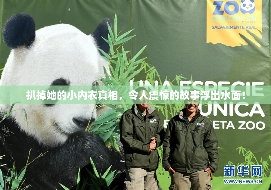 扒掉她的小内衣真相，令人震惊的故事浮出水面！
