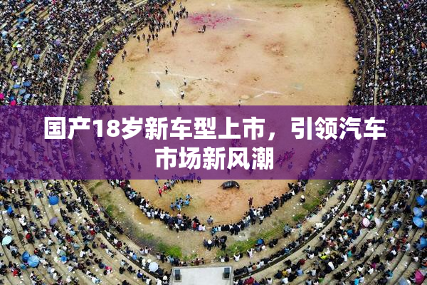 国产18岁新车型上市，引领汽车市场新风潮