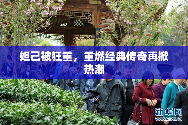 妲己被狂重，重燃经典传奇再掀热潮