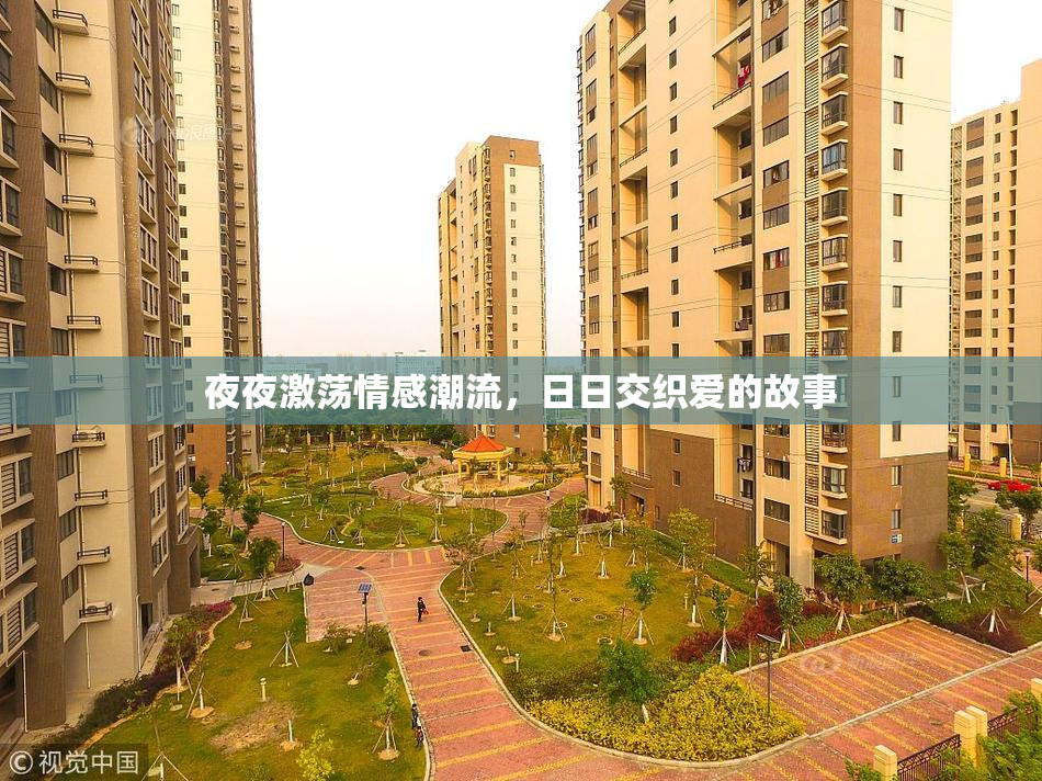 夜夜激荡情感潮流，日日交织爱的故事