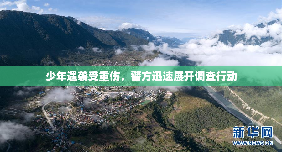 少年遇袭受重伤，警方迅速展开调查行动