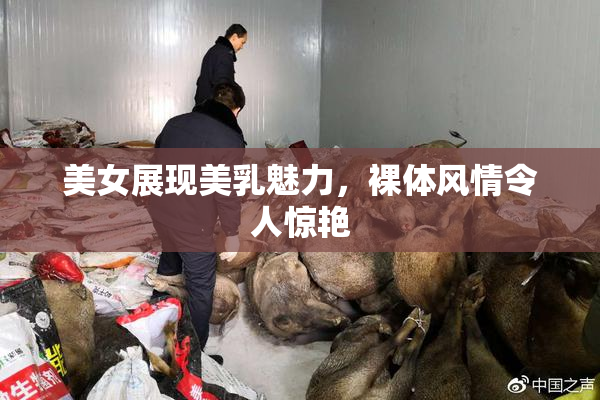 美女展现美乳魅力，裸体风情令人惊艳