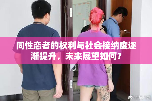 同性恋者的权利与社会接纳度逐渐提升，未来展望如何？