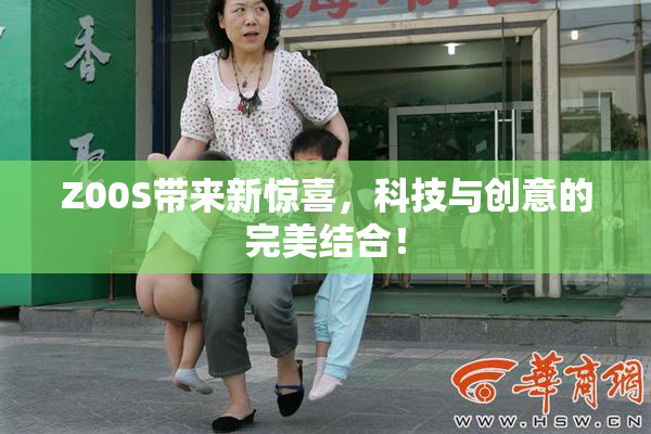 Z00S带来新惊喜，科技与创意的完美结合！