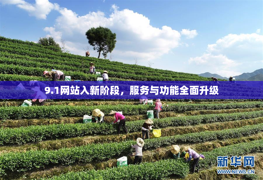 9.1网站入新阶段，服务与功能全面升级
