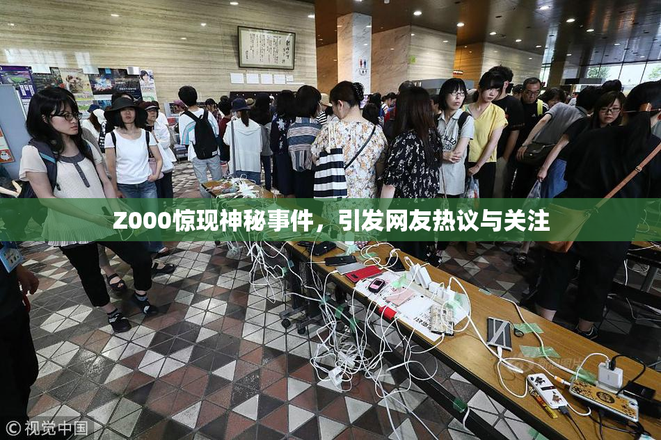 Z000惊现神秘事件，引发网友热议与关注