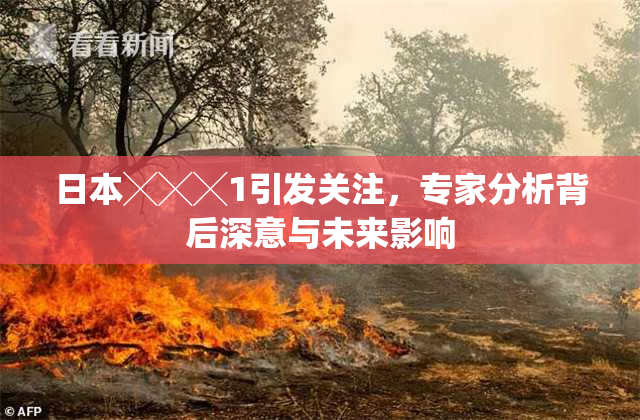 日本╳╳╳1引发关注，专家分析背后深意与未来影响
