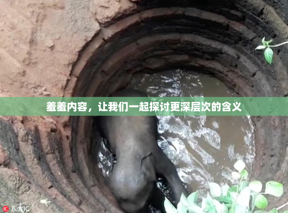 羞羞内容，让我们一起探讨更深层次的含义