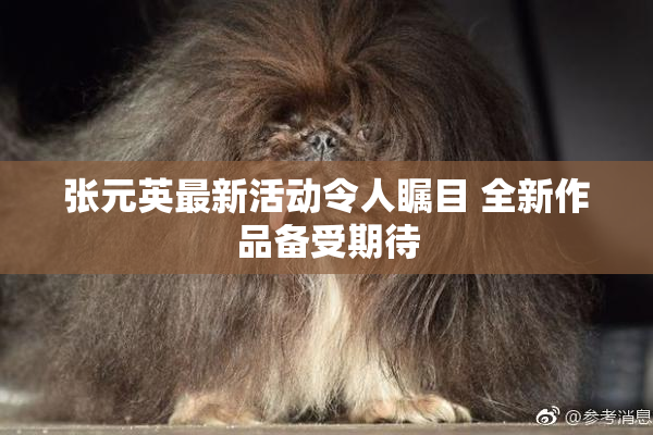 张元英最新活动令人瞩目 全新作品备受期待