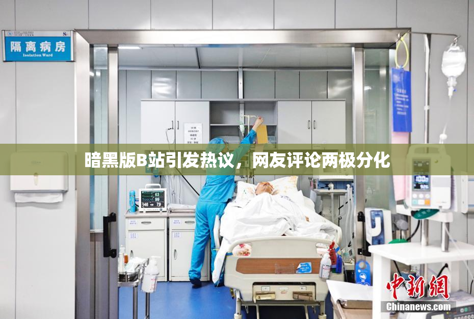 暗黑版B站引发热议，网友评论两极分化