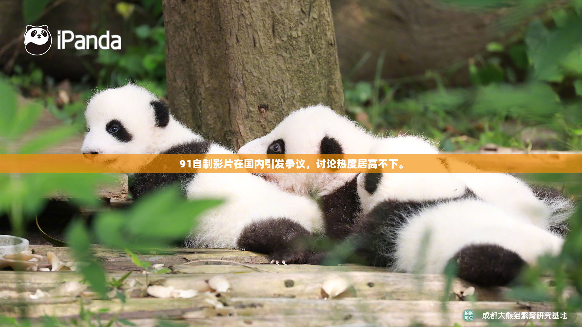 91自制影片在国内引发争议，讨论热度居高不下。