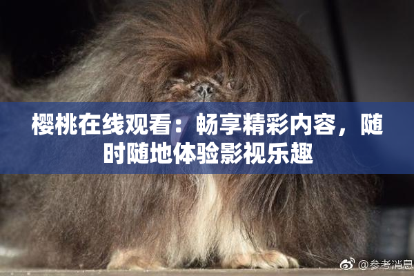 樱桃在线观看：畅享精彩内容，随时随地体验影视乐趣