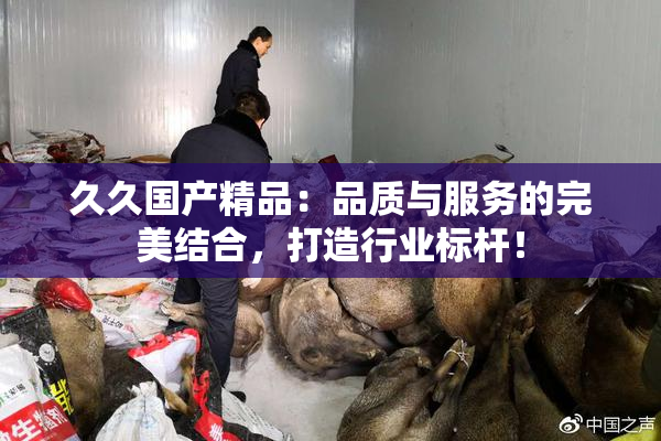 久久国产精品：品质与服务的完美结合，打造行业标杆！