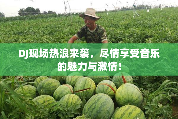 DJ现场热浪来袭，尽情享受音乐的魅力与激情！