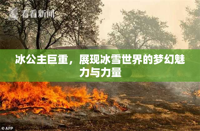 冰公主巨重，展现冰雪世界的梦幻魅力与力量