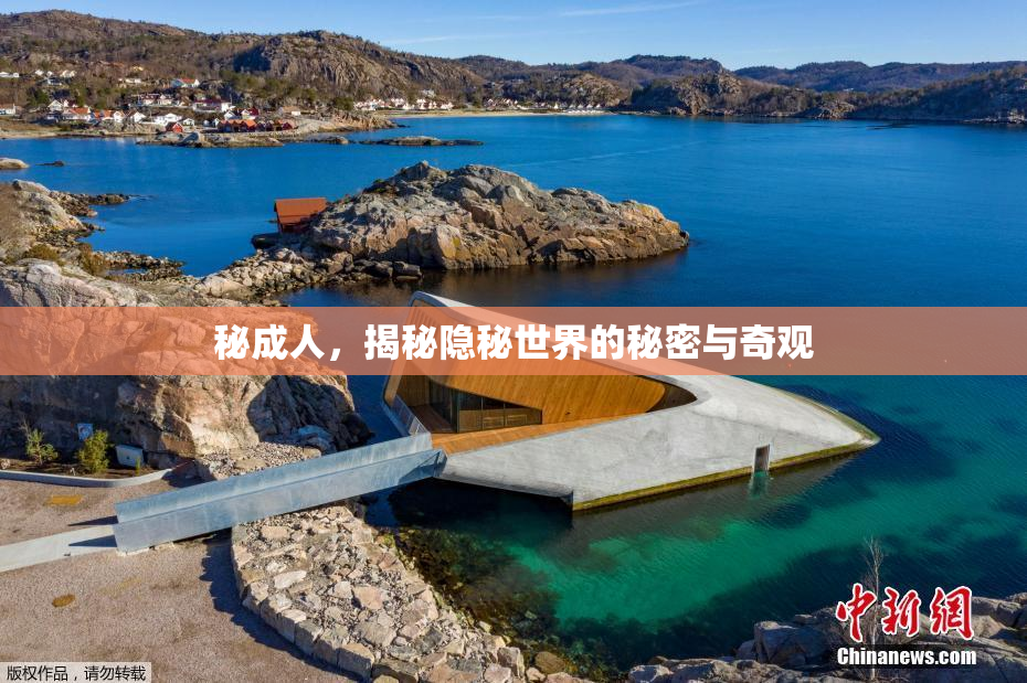 秘成人，揭秘隐秘世界的秘密与奇观