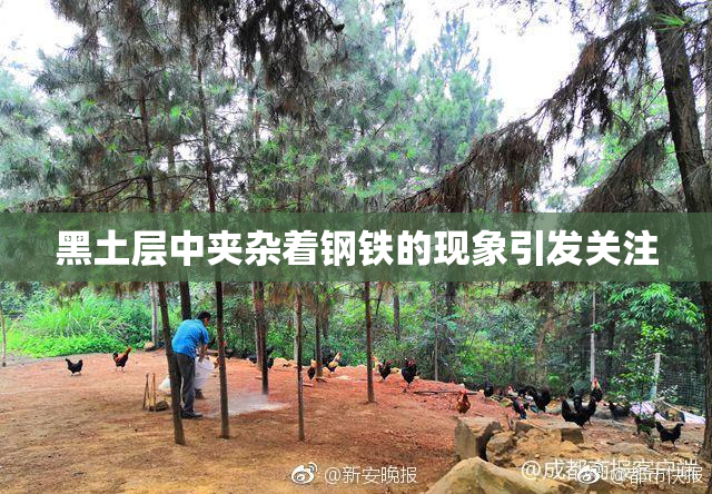 黑土层中夹杂着钢铁的现象引发关注