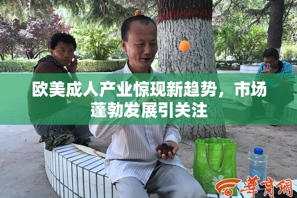欧美成人产业惊现新趋势，市场蓬勃发展引关注