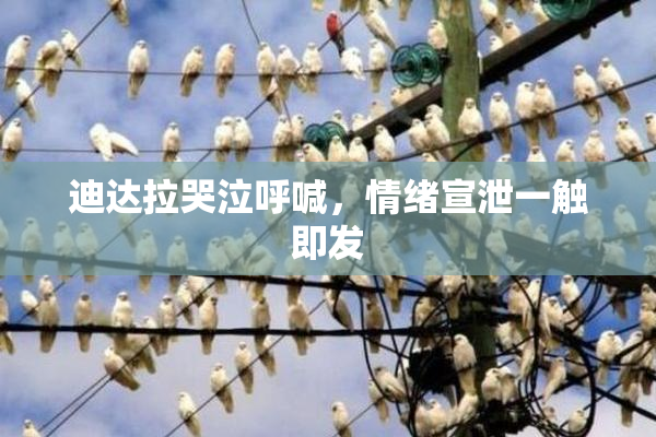 迪达拉哭泣呼喊，情绪宣泄一触即发