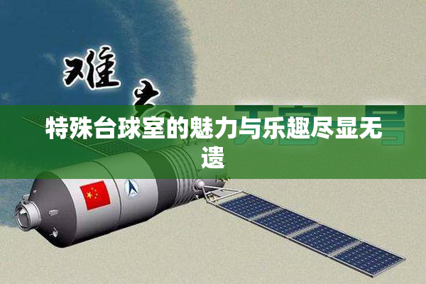 特殊台球室的魅力与乐趣尽显无遗