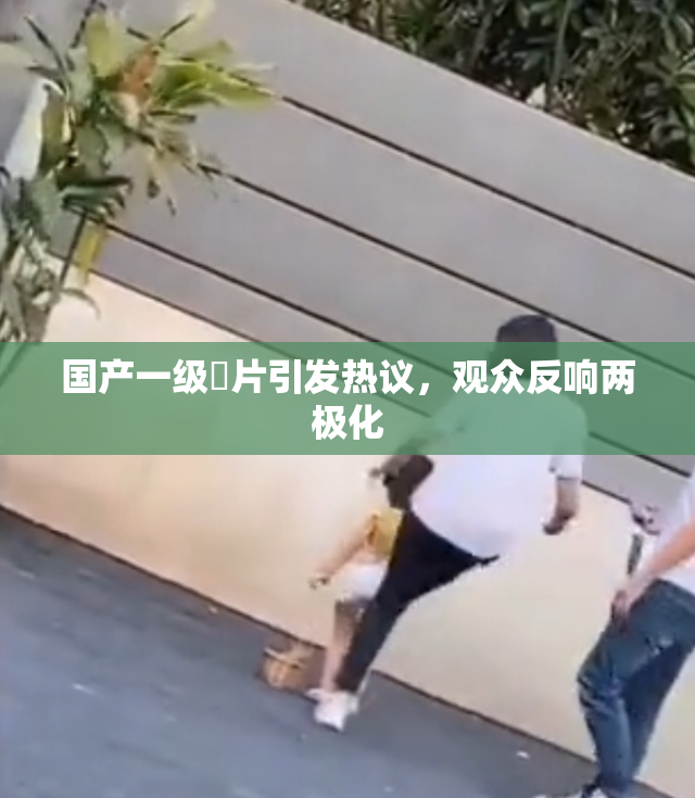 国产一级婬片引发热议，观众反响两极化