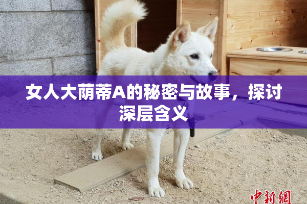女人大荫蒂A的秘密与故事，探讨深层含义