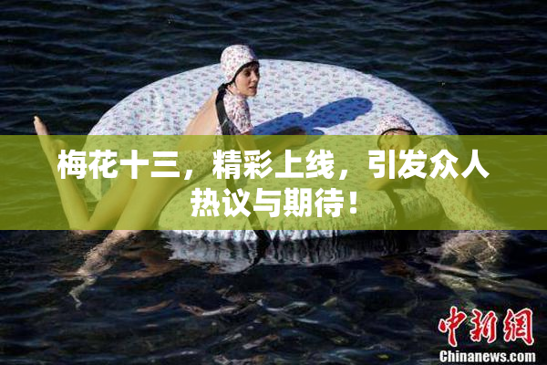 梅花十三，精彩上线，引发众人热议与期待！