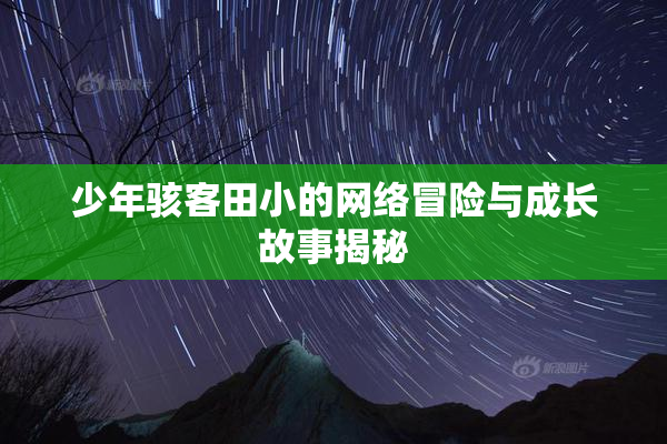少年骇客田小的网络冒险与成长故事揭秘